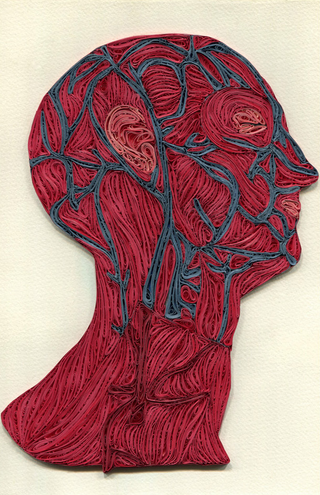 Illustration for article titled This beautiful anatomical art is made of paper, not flesh and bone
